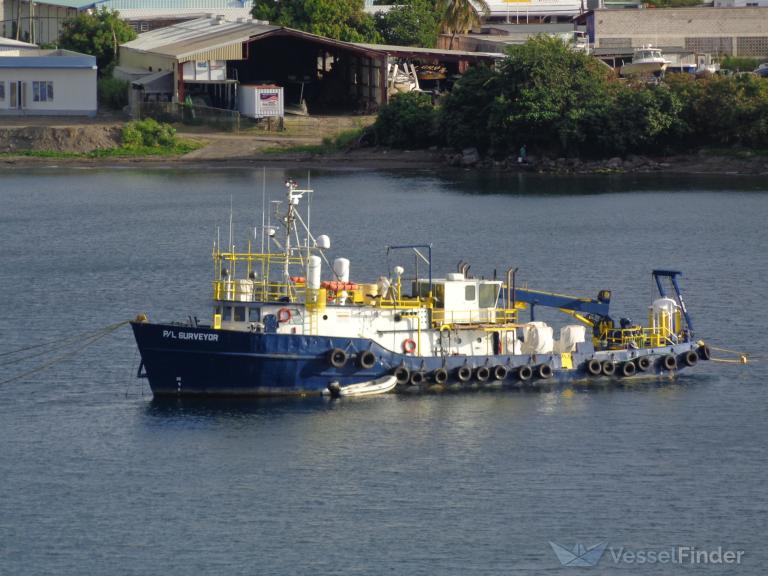 DSV P/L Surveyor